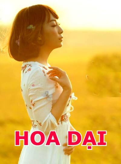 Hoa Dại
