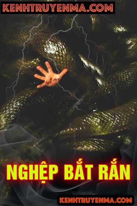 Nghiệp Bắt Rắn