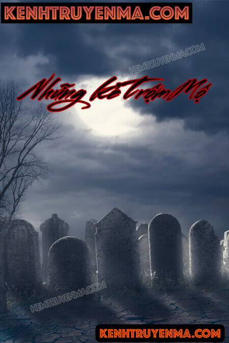 Những Kẻ Trộm Mộ