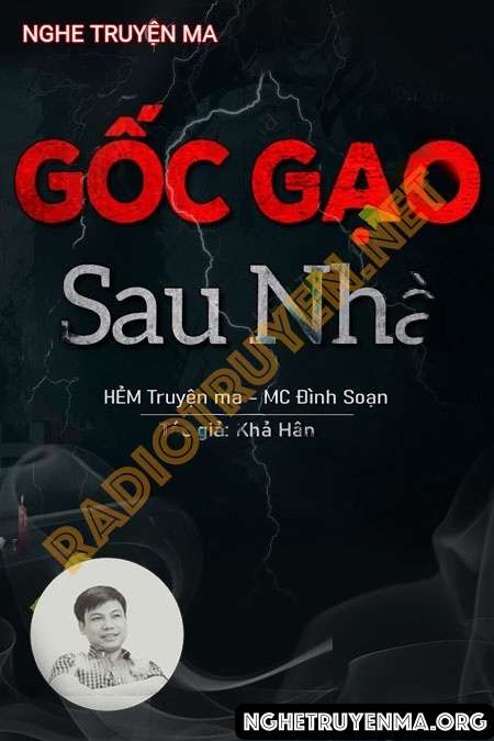 Gốc Gạo Sau Nhà