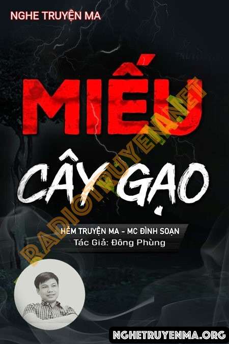 Miếu Cây Gạo - Đình Soạn