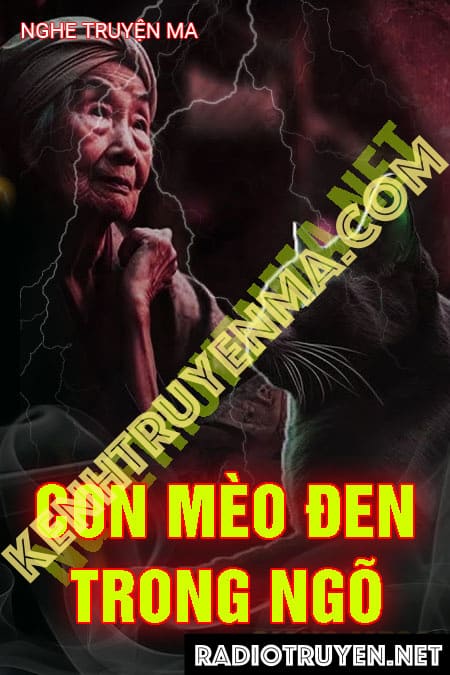 Con Mèo Đen Trong Ngõ