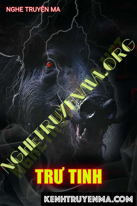 Trư Tinh - Tác Giả Lê Đức Nam - Giọng Đọc Trần Thy
