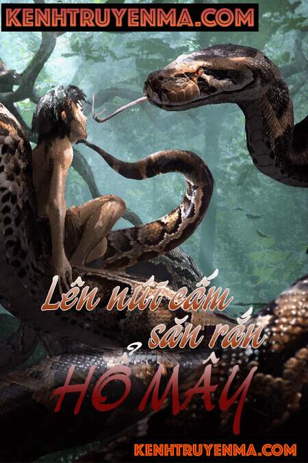 Lên Núi Cấm Săn Rắn Hổ Mây