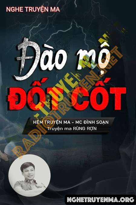 Đào Mộ Đốt Cốt - Đình Soạn
