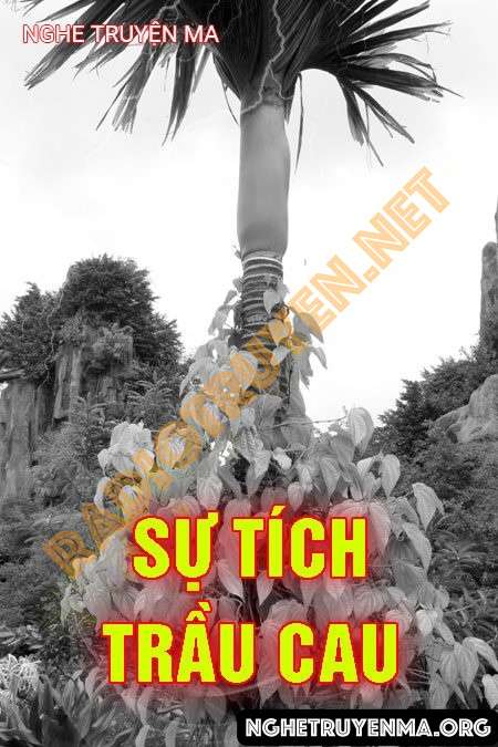 Sự Tích Trầu Cau