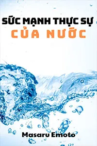 Sức Mạnh Thực Sự Của Nước