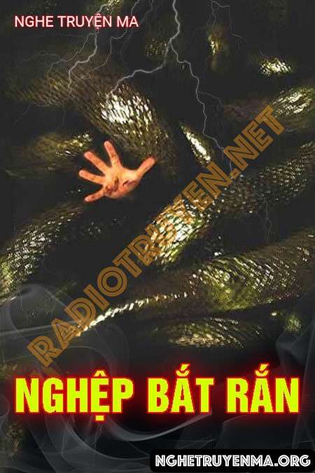 Nghiệp Bắt Rắn - Nguyễn Huy
