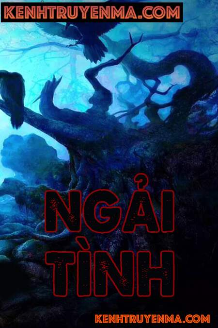 Ngải Tình