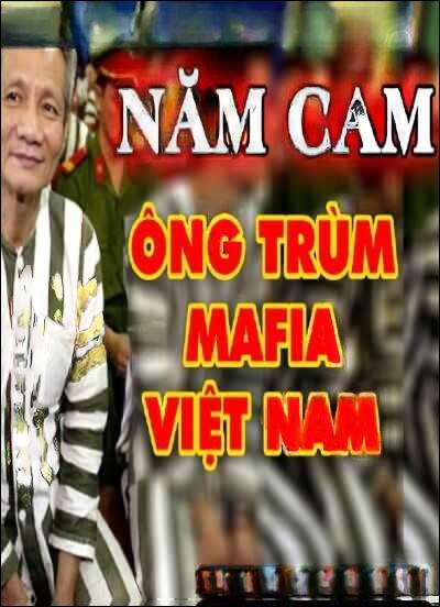 Bí mật chuyên án năm cam