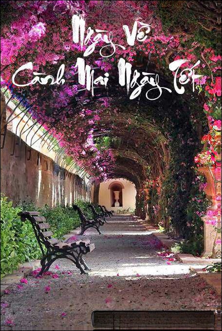 Ngày Về - Cành Mai Ngày Tết