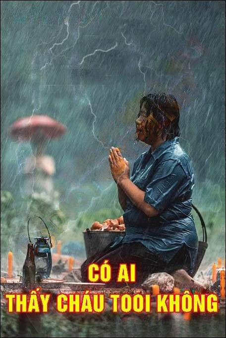 Có Ai Thấy Cháu Tôi Không