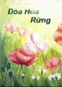 Một Đóa Hoa Rừng