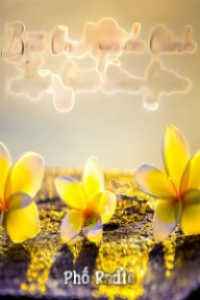 Nghiệp Ác Gã Chồng Thú Tính