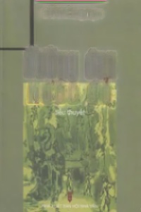 Đường Đen Nước Đỏ