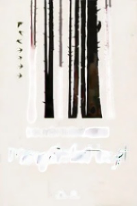 Mộng Đời Bất Tuyệt