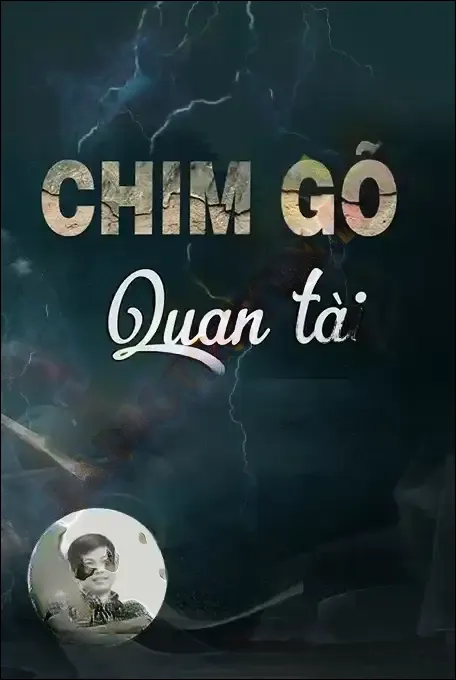 Chim Gõ Nắp Quan Tài - Đình Soạn