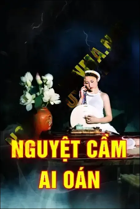 Nguyệt Cầm Ai Oán Lúc Nửa Đêm - Nguyễn Huy