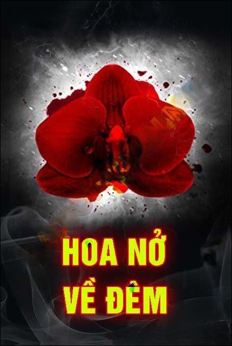Hoa Nở Về Đêm