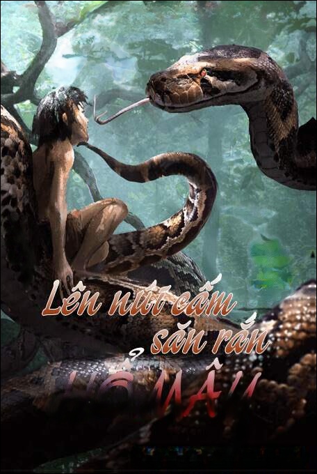 Lên Núi Cấm Săn Rắn Hổ Mây