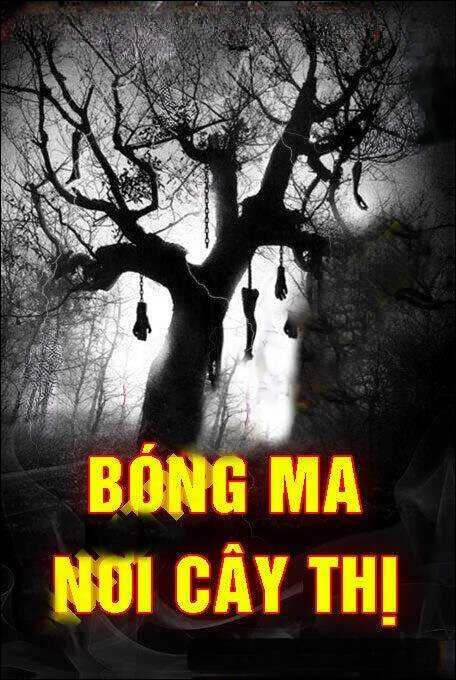Bóng Ma Nơi Cây Thị