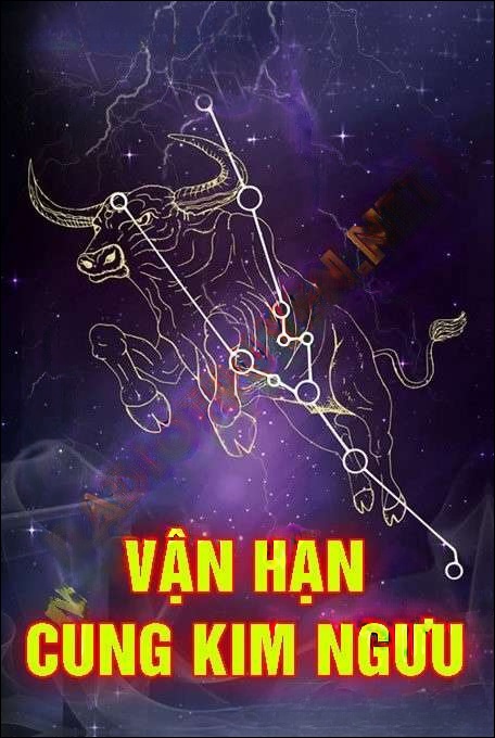 Vận Hạn Cung Kim Ngưu