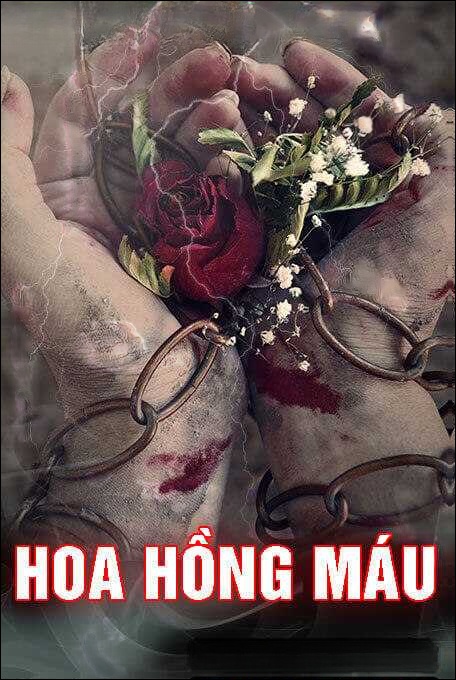 Hoa Hồng Máu