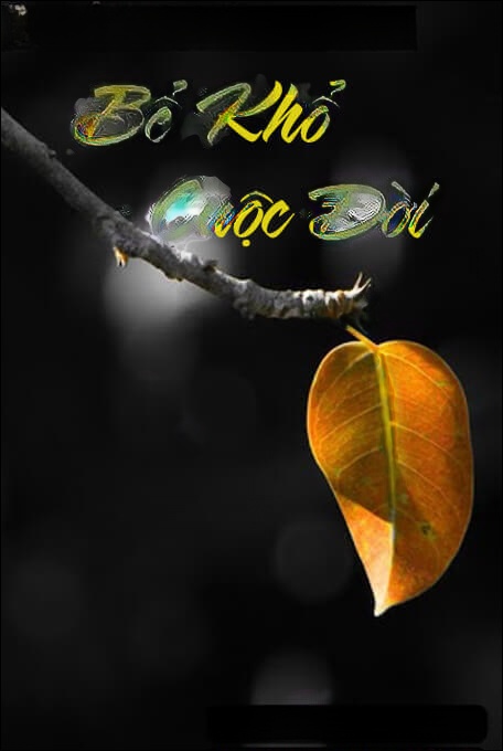 Bể Khổ Cuộc Đời