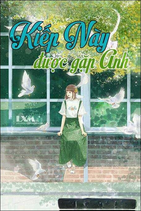 Kiếp Này Được Gặp Anh
