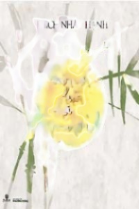 Nói Với Tuổi Hai Mươi - Thích Nhất Hạnh