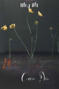 Nhân Duyên Cuộc Đời - Trần Ngọc San