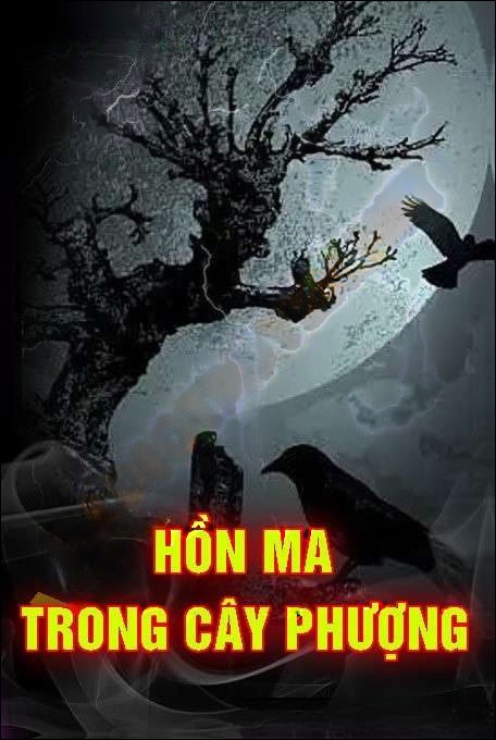 Hồn Ma Trong Cây Phượng