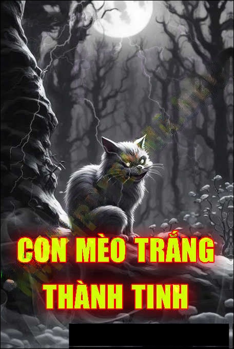 Con Mèo Thành Tinh