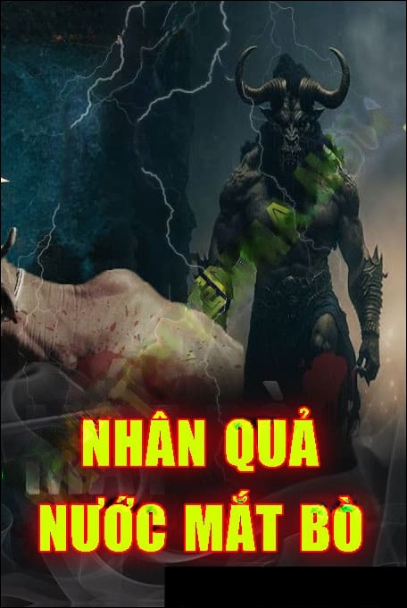 Nhân Quả Nước Mắt Bò