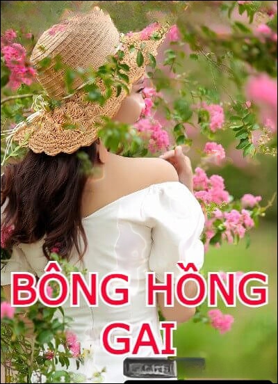 Bông Hồng Gai Và Tổng Tài Bá Đạo