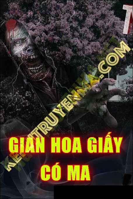Giàn Hoa Giấy Sau Nhà