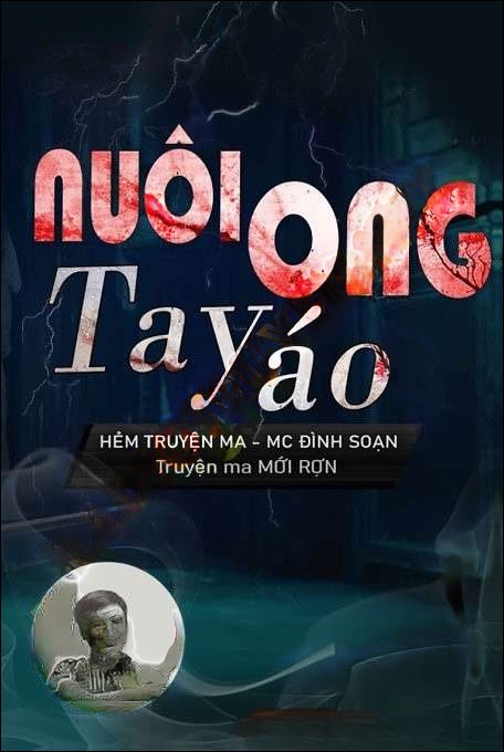Nuôi Ong Tay Áo - Đình Soạn