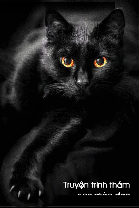 Con mèo đen - truyện trinh thám