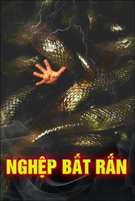 Nghiệp Bắt Rắn - Nguyễn Huy