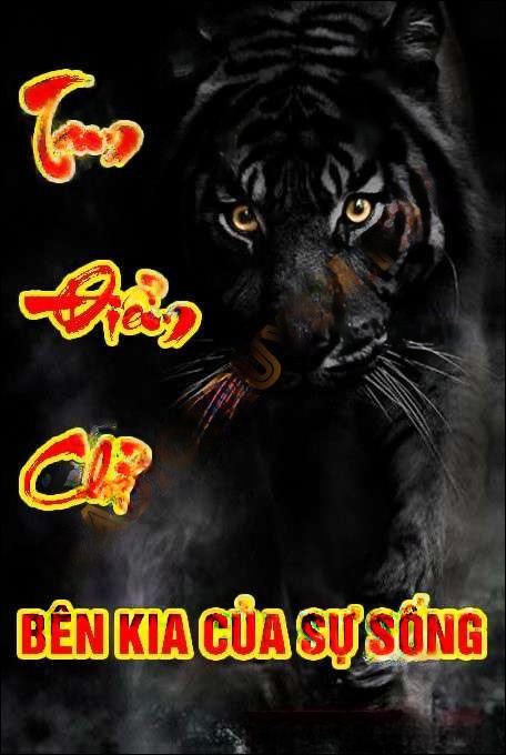 Tam điểm chỉ - Quàng A Tũn