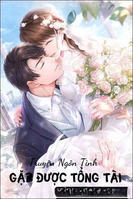 Gặp Được Tổng Tài - Truyện Ngôn Tình