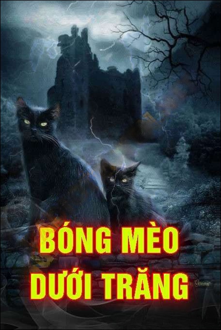 Bóng Mèo Dưới Trăng