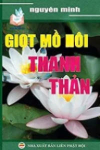 Giọt Mồ Hôi Thanh Thản