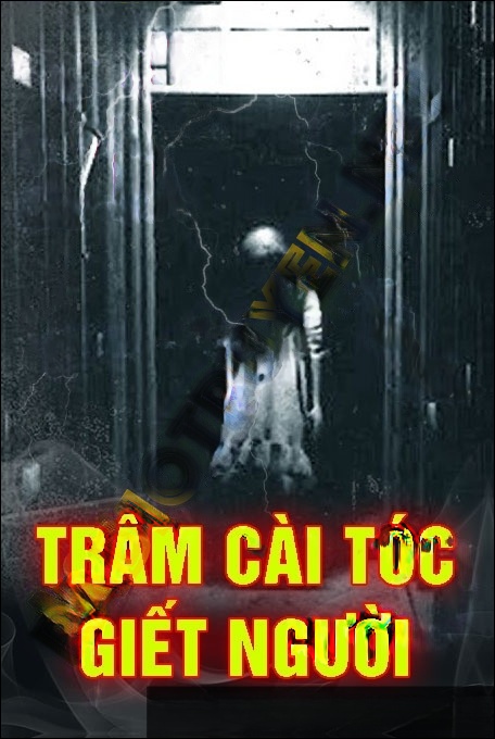 Trâm Cài Tóc G.iết Người