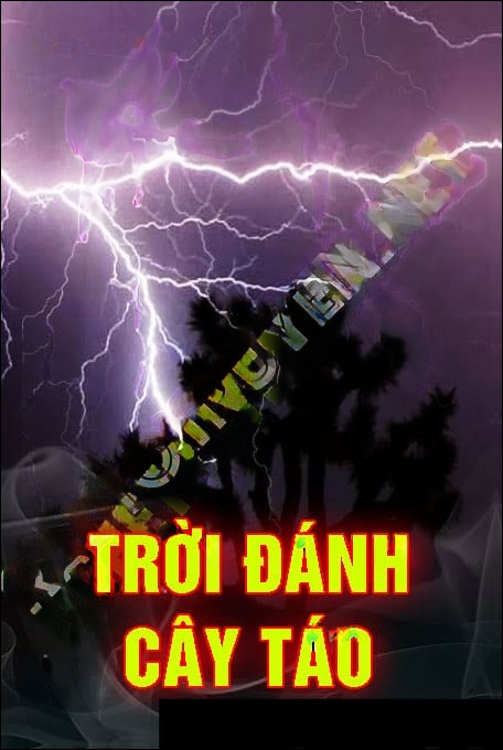 Trời Đánh Cây Táo