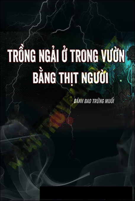 Trồng Ngải Ở Trong Vườn