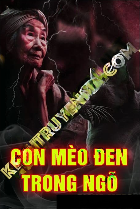 Con Mèo Đen Trong Ngõ