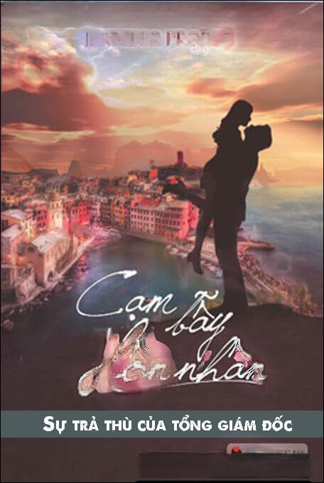 Sự Trả Thù Của Tổng Giám Đốc - Truyện Ngôn Tình