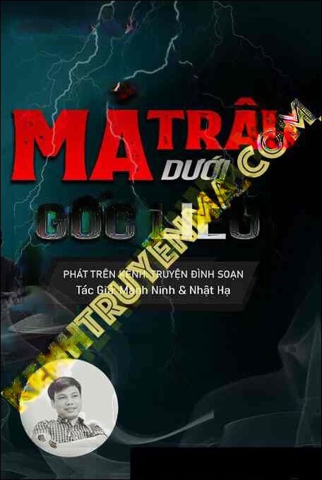 Mả Trâu Dưới Gốc Liễu