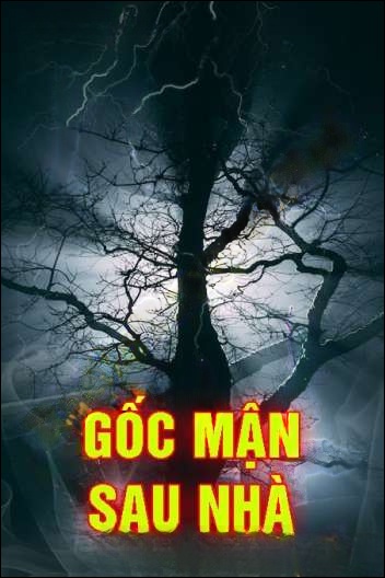 Góc Mận Sau Nhà